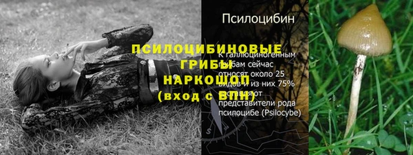 соль курить ск Алексин