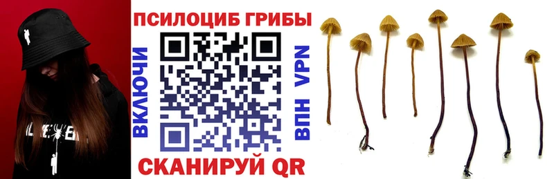 Галлюциногенные грибы мицелий  даркнет сайт  Пыть-Ях 